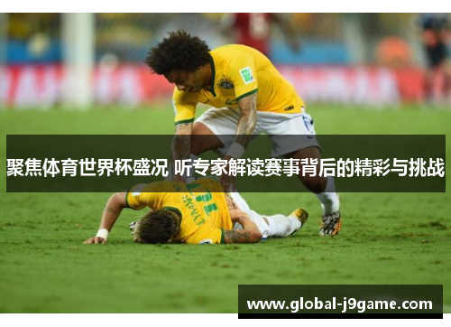聚焦体育世界杯盛况 听专家解读赛事背后的精彩与挑战