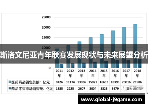 斯洛文尼亚青年联赛发展现状与未来展望分析