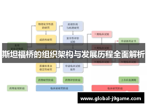 斯坦福桥的组织架构与发展历程全面解析